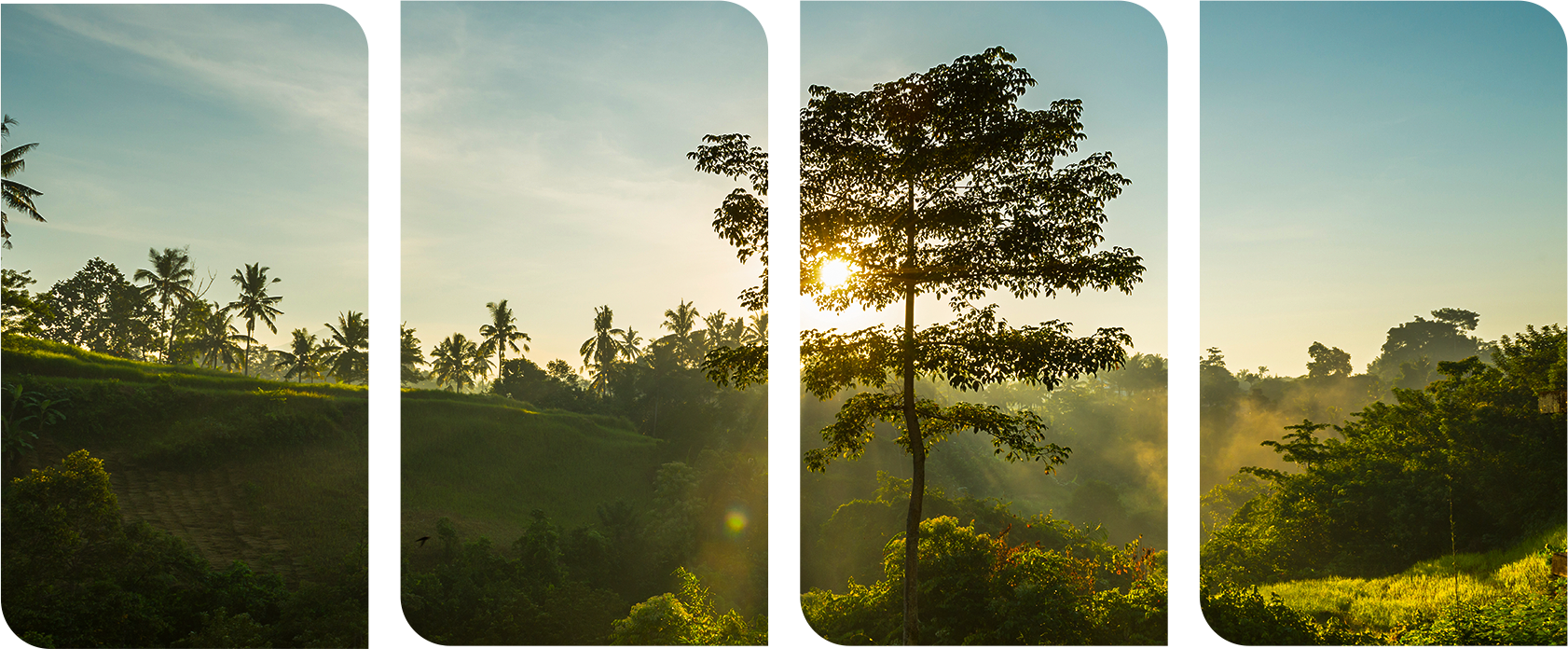 Banner de princípios